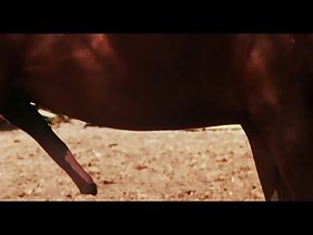 ラティーナはネグロの奇妙な家の中で窮地に追い込まれた