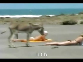 ガイは奇妙な衣装で女の子を犯した